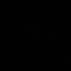 Meet your Posher, Sadie